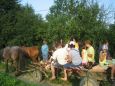 Cazare in Maramures - PENSIUNEA LILIANA - Poienile Izei - click aici, pentru marirea pozei