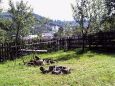 Cazare in Maramures - PENSIUNEA MARIA DIN VARFU ULITII - Poienile Izei - click aici, pentru marirea pozei