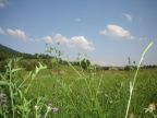 Cazare in Maramures - PENSIUNEA Ocnesti - Oncesti - click aici, pentru marirea pozei