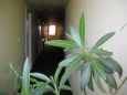 Cazare in Maramures - HOSTEL SENECA - Baia Mare - click aici, pentru marirea pozei