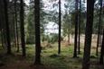 Cazare in Maramures - CABANA IZA IZVORul - Sacel - click aici, pentru marirea pozei