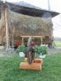 Cazare in Maramures - PENSIUNEA IN DEAL LA ANCUTA - Vadu Izei - click aici, pentru marirea pozei