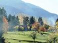 Cazare in Maramures - HOTEL ROMAN - Borsa - click aici, pentru marirea pozei