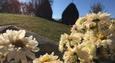Pensiunea-lucia - Cazare in Breb - 