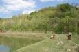 Cazare in Maramures - PENSIUNEA COSAU - Calinesti - click aici, pentru marirea pozei