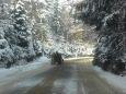 Cazare in Maramures - PENSIUNEA CAPRIOARA - Firiza - click aici, pentru marirea pozei